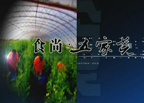食尚·五家尧宣传片