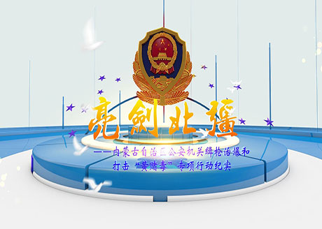 公安厅缉枪治爆行动